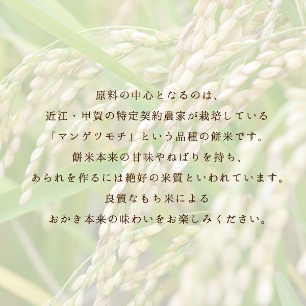 Τ  40g | ץե   Ʋ   ࿦ ư ž  ´ ۤ1ȯ Pgift