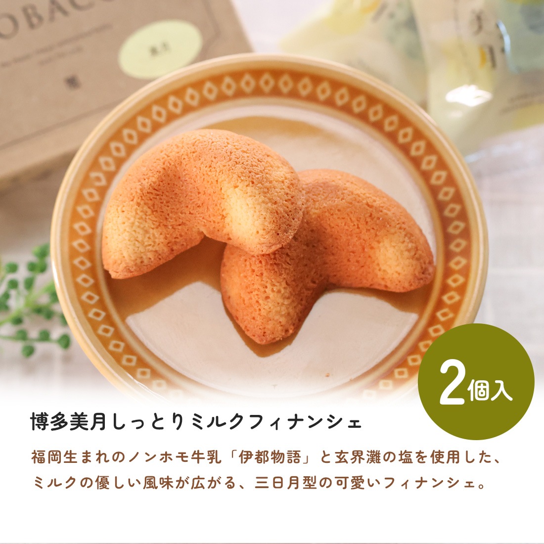 COBACO���祤�����åȡ�6Ȣ���åȡۡòİ��餷���פ����եȤ�COBACO9����Τ��ۻҤ������٤���祤�����å� ������ ��� ���ۻ� �������ĥ��ե� �²ۻ� �βۻҡ������ȯ���� Agift