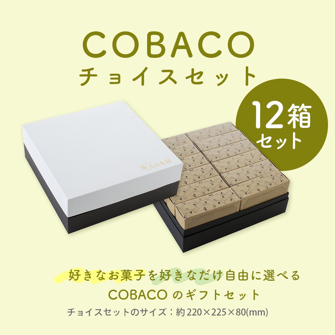 COBACO���祤�����åȡ�12Ȣ���åȡۡòİ��餷���פ����եȤ�COBACO9����Τ��ۻҤ������٤���祤�����å� ������ ��� ���ۻ� �������ĥ��ե� �²ۻ� �βۻ� ����̵���������ȯ���� Agift