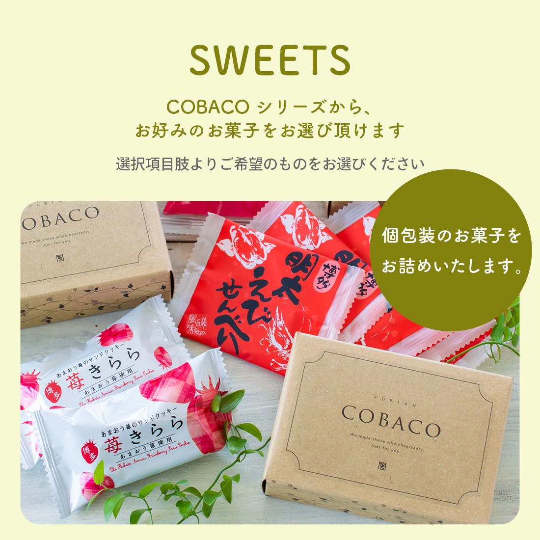 COBACO���祤�����åȡ�12Ȣ���åȡۡòİ��餷���פ����եȤ�COBACO9����Τ��ۻҤ������٤���祤�����å� ������ ��� ���ۻ� �������ĥ��ե� �²ۻ� �βۻ� ����̵���������ȯ���� Agift