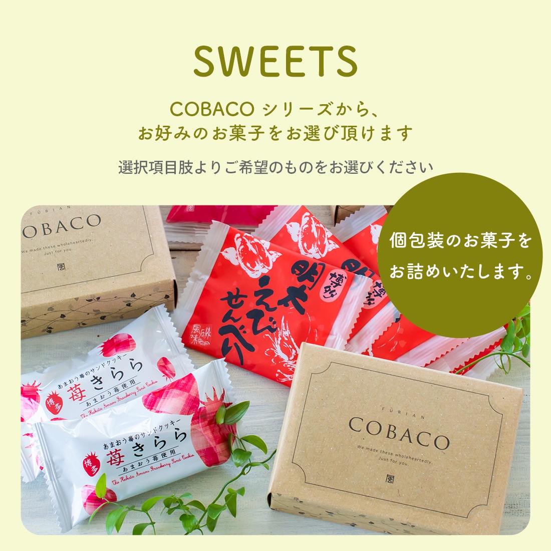 COBACO���祤�����åȡ�14Ȣ���åȡۡòİ��餷���פ����եȤ�COBACO9����Τ��ۻҤ������٤���祤�����å� ������ ��� ���ۻ� �������ĥ��ե� �²ۻ� �βۻ� ����̵���������ȯ���� Agift