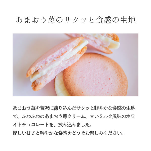 ߥΥꥫץե PETIT GIFTäޤߥ륯󥰥ɥ 3   פեȥ꡼ȯ Pgift