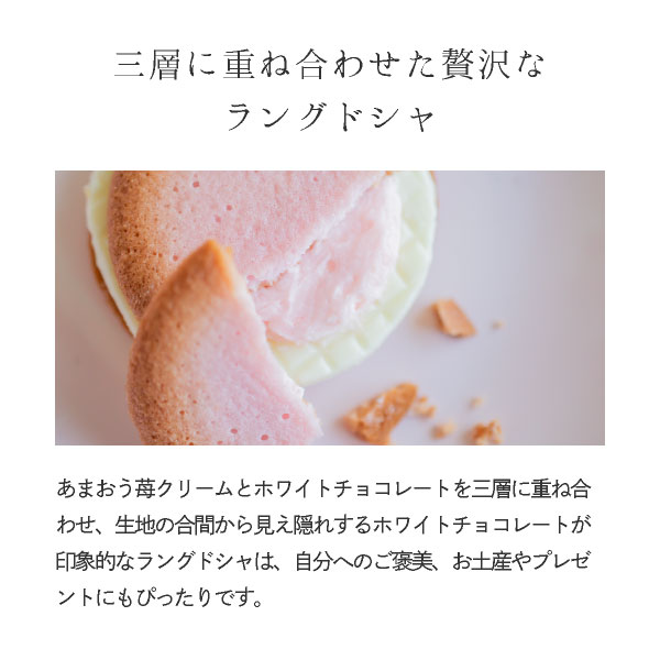 ߥΥꥫץե PETIT GIFTäޤߥ륯󥰥ɥ 3   פեȥ꡼ȯ Pgift