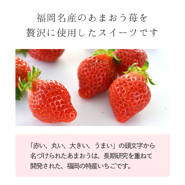 ߥΥꥫץե PETIT GIFTäޤߥ륯󥰥ɥ 3   פեȥ꡼ȯ Pgift