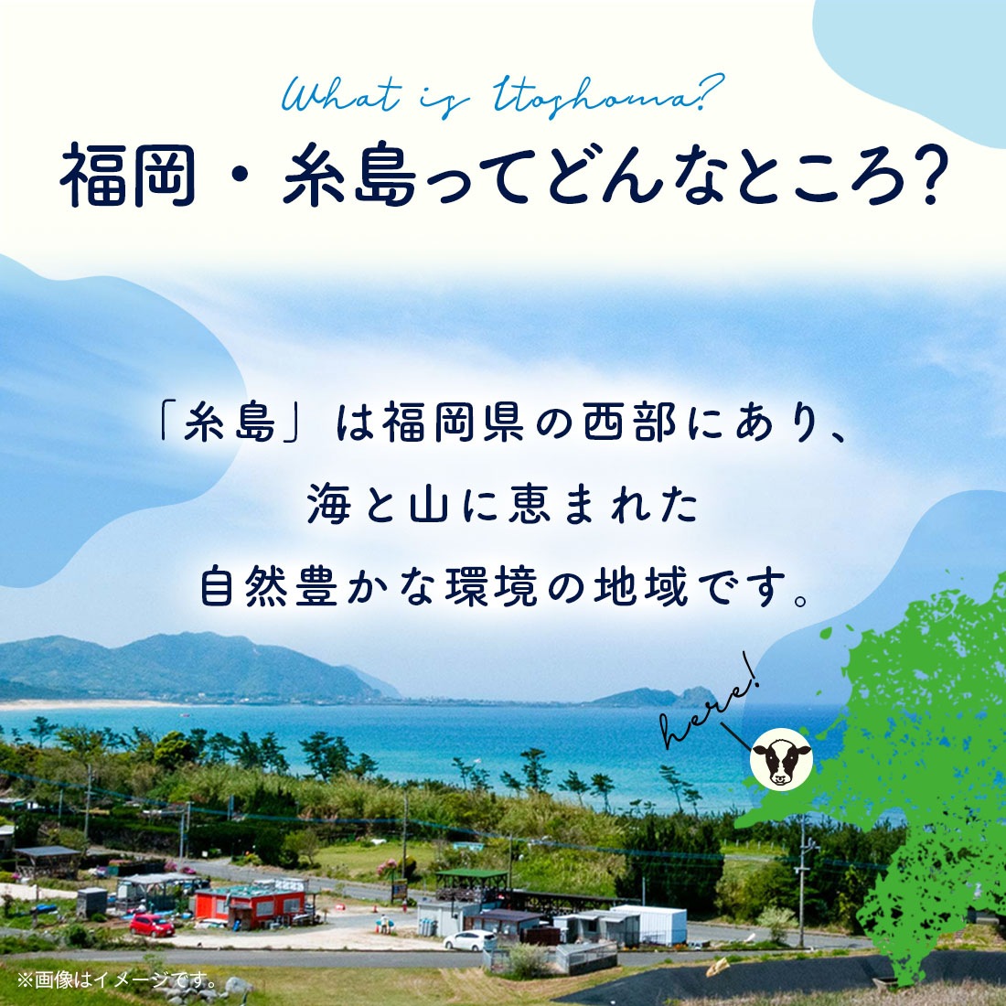 ������ ���ե� ����ߥ륯�������ĥ��եȥ��å� M������ | ��� ����� �Ƥ��ۻ� �βۻ� ��ˤ� ���� ���֤� ���ˤ� �ץ쥼��� ���ڻ� ���ڻ� ʡ�� ��¿ ������ ����̵�� �����ȯ�� Agift