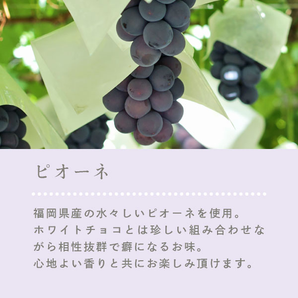 ��Thank You�ۥ��������祳��С�(���ޤ������ԥ����͡��˥塼���ޡ������)  ����� ���ե�  �ץ����ե� ��0�� �����ȯ�� Pgift