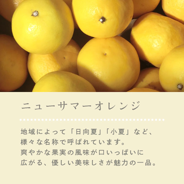 ��Thank You�ۥ��������祳��С�(���ޤ������ԥ����͡��˥塼���ޡ������)  ����� ���ե�  �ץ����ե� ��0�� �����ȯ�� Pgift