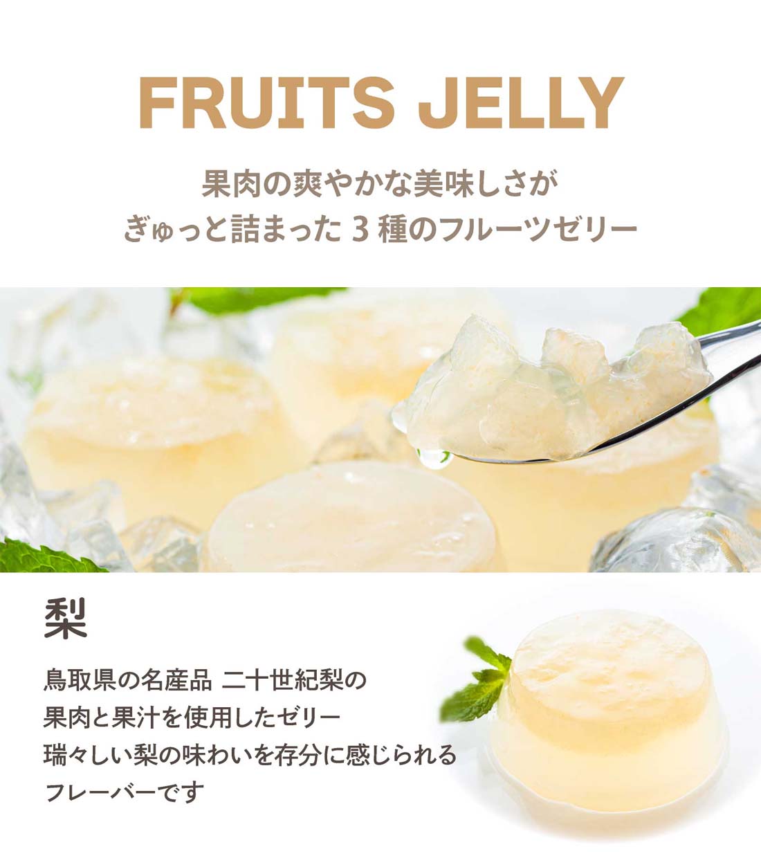 �����åե롼�ĥ��꡼20���� | ������å� �᡼����ȯ��  mailbin