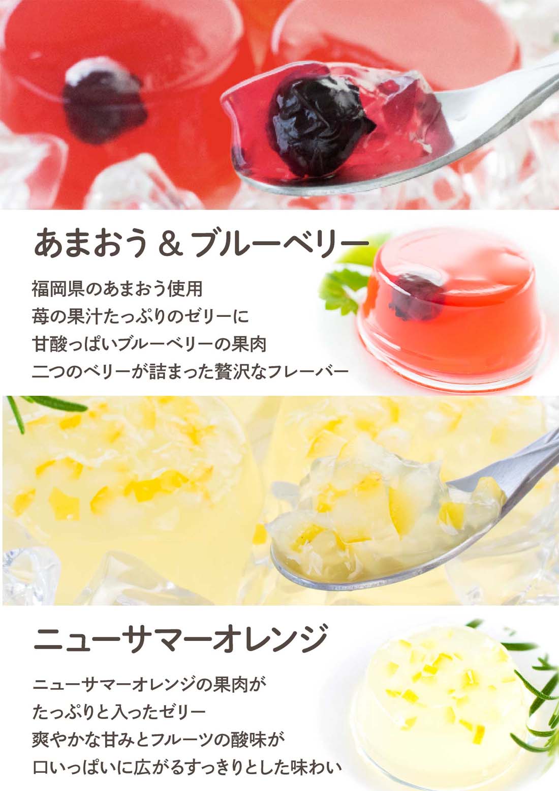 �����åե롼�ĥ��꡼20���� | ������å� �᡼����ȯ��  mailbin