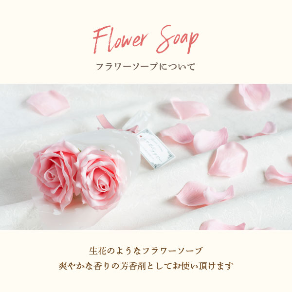 �ե������ץ֡����Ȥ��ޤ�������������5�異������ �� ������ ���� �ץ쥼��� �������� ���ե� �Ƥ��ۻ� ��� £���� ����̵���������ȯ���� Agift