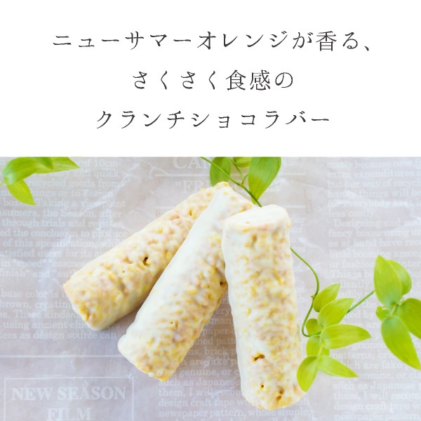 COBACO 祳Сʥ˥塼ޡ󥸡3    ࿦ ư ž  ´ ۤ ¨ȯб ץե 0ۡȯ Pgift