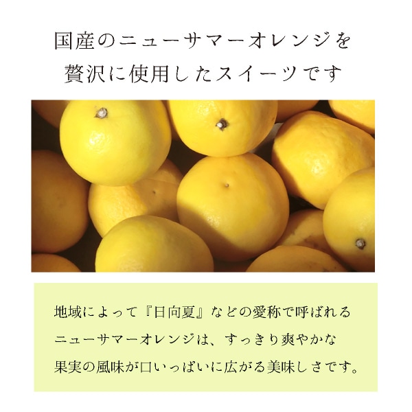 COBACO 祳Сʥ˥塼ޡ󥸡3    ࿦ ư ž  ´ ۤ ¨ȯб ץե 0ۡȯ Pgift