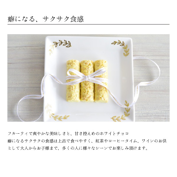 COBACO 祳Сʥ˥塼ޡ󥸡3    ࿦ ư ž  ´ ۤ ¨ȯб ץե 0ۡȯ Pgift