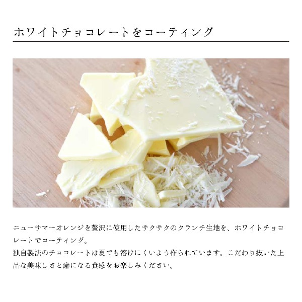 COBACO 祳Сʥ˥塼ޡ󥸡3    ࿦ ư ž  ´ ۤ ¨ȯб ץե 0ۡȯ Pgift