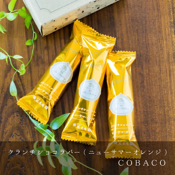 COBACO 祳Сʥ˥塼ޡ󥸡3    ࿦ ư ž  ´ ۤ ¨ȯб ץե 0ۡȯ Pgift