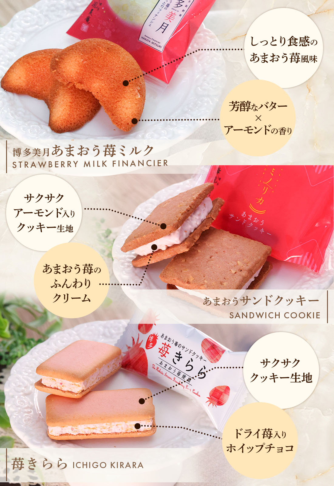 åĥ쥯S |   ޤ βۻ ۻ ̵ ȯ Agift