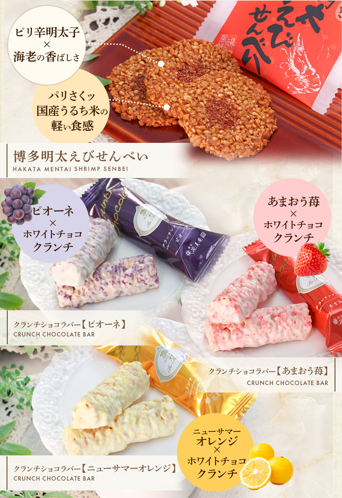 åĥ쥯S |   ޤ βۻ ۻ ̵ ȯ Agift