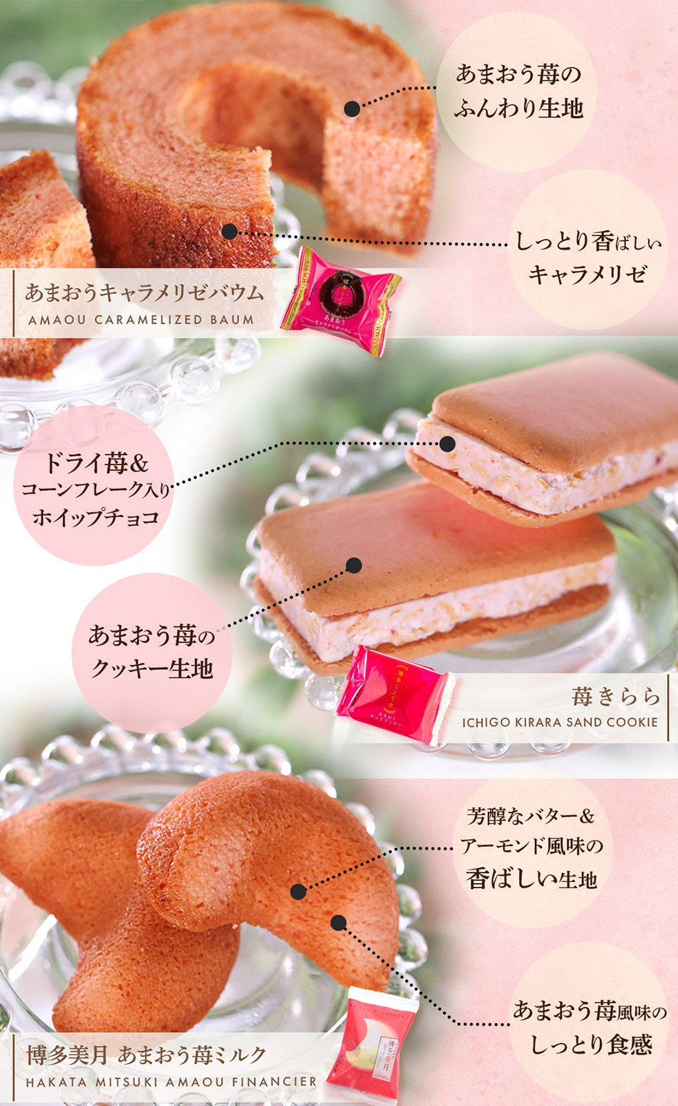 �ݤ��� ���꡼�����ޤ����������� | ��� ¨��ȯ���б� ����̵�� �����ȯ�� Agift