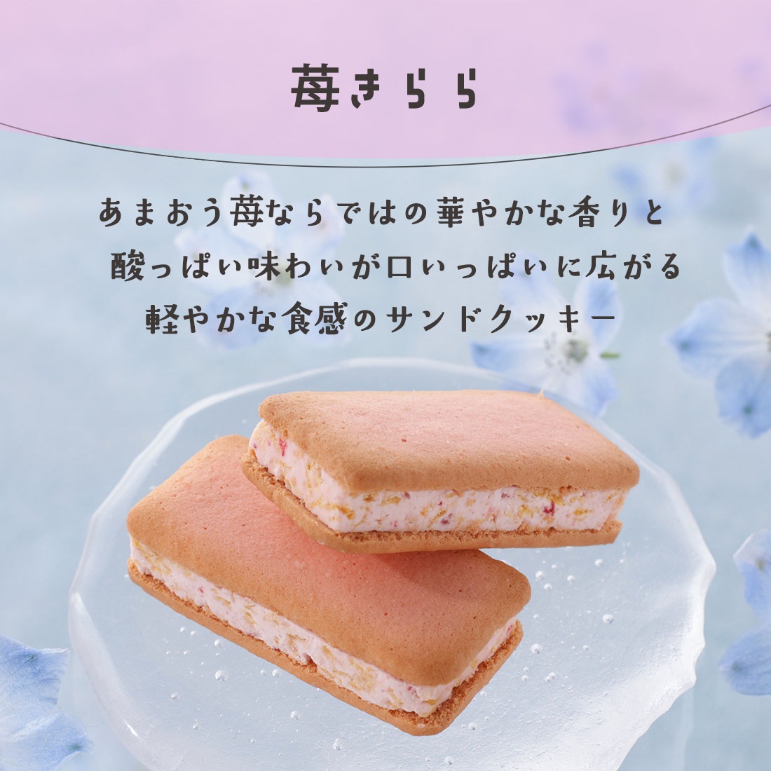 ��¿������ �ݤ������ե� ���� | ¨��ȯ���б� ����̵�� �����ȯ�� Agift