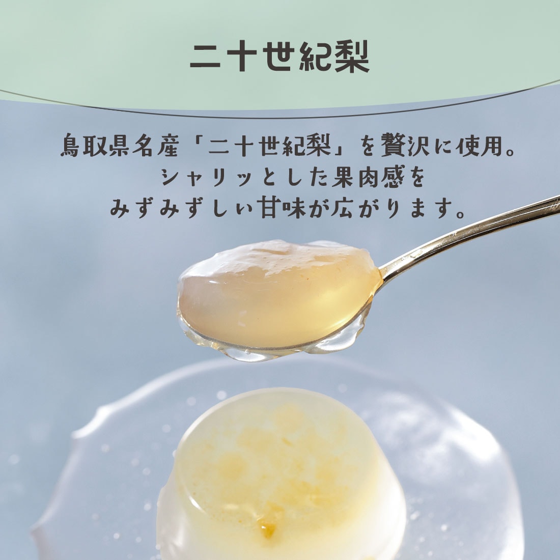 ��¿������ �ݤ������ե� ���� | ¨��ȯ���б� ����̵�� �����ȯ�� Agift