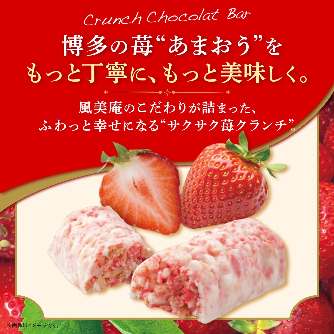 ���������祳��С��ʤ��ޤ�����6������HAKATA Be Factory��ʡ�� ��¿�ڻ� �������� �� ��0�ۡ������ȯ���� proper