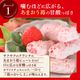 ���������祳��С��ʤ��ޤ�����6������HAKATA Be Factory��ʡ�� ��¿�ڻ� �������� �� ��0�ۡ������ȯ���� proper