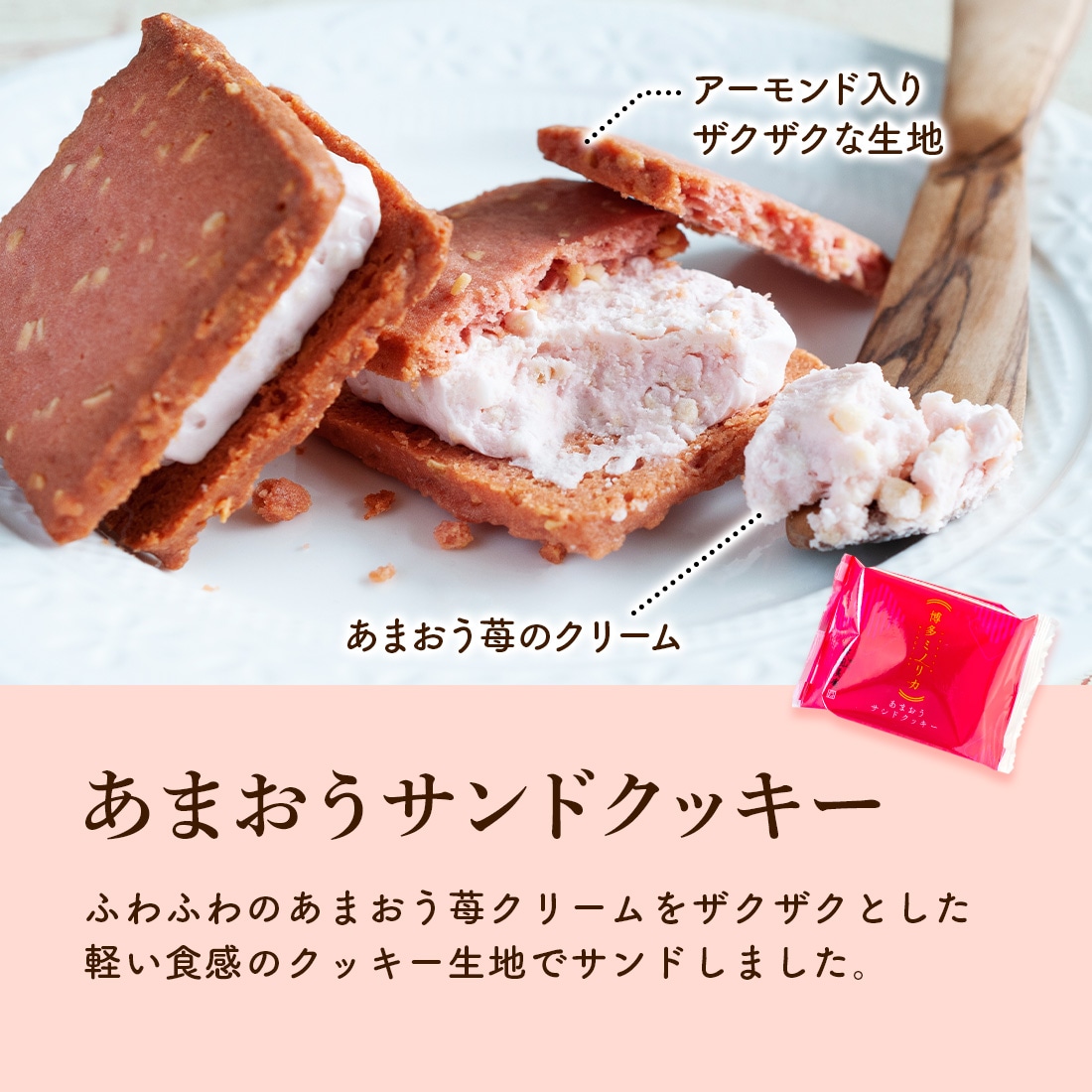 ĥեȥåL |   ե  ¨ȯб ̵ ȯ Agift