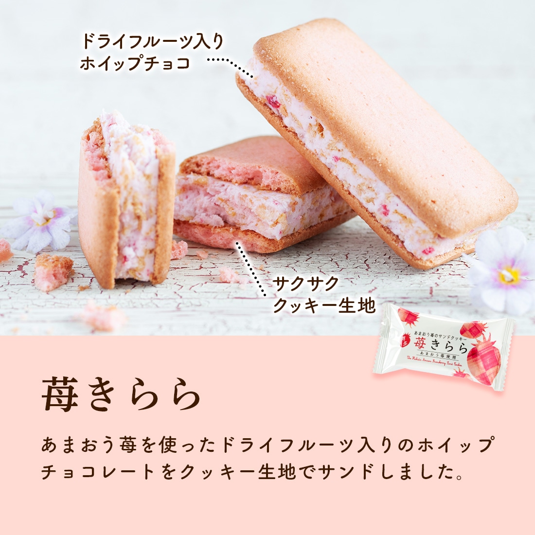 ĥեȥåL |   ե  ¨ȯб ̵ ȯ Agift