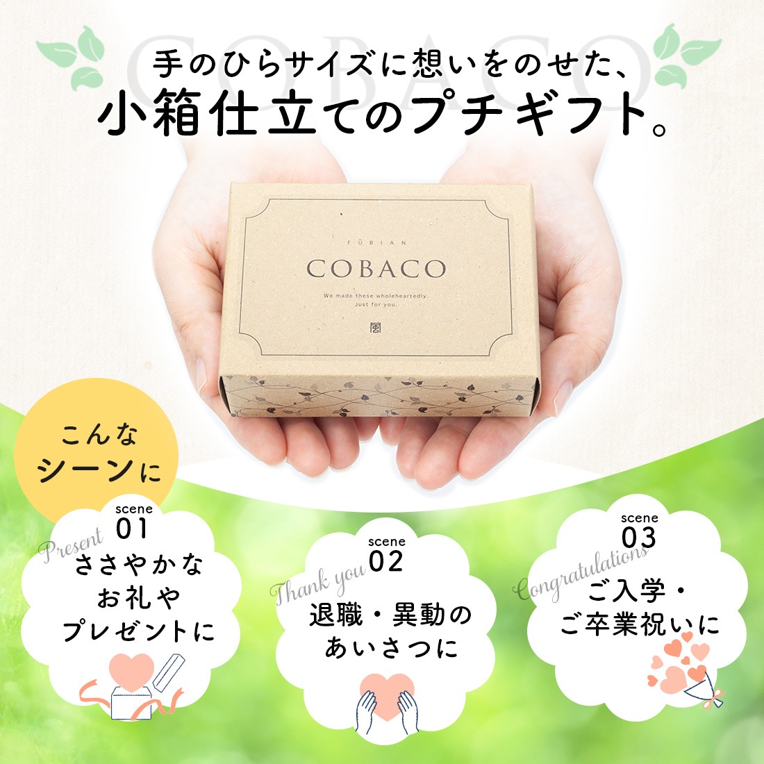 COBACO ��¿����ʤ��äȤ�ߥ륯��2�� �� ¨��ȯ�� �ץ����եȡ������ȯ���� Pgift