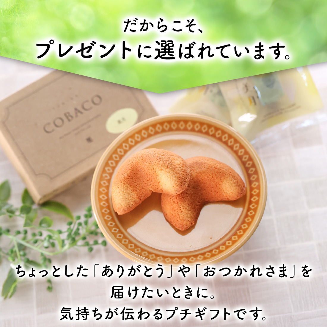 COBACO ��¿����ʤ��äȤ�ߥ륯��2�� �� ¨��ȯ�� �ץ����եȡ������ȯ���� Pgift