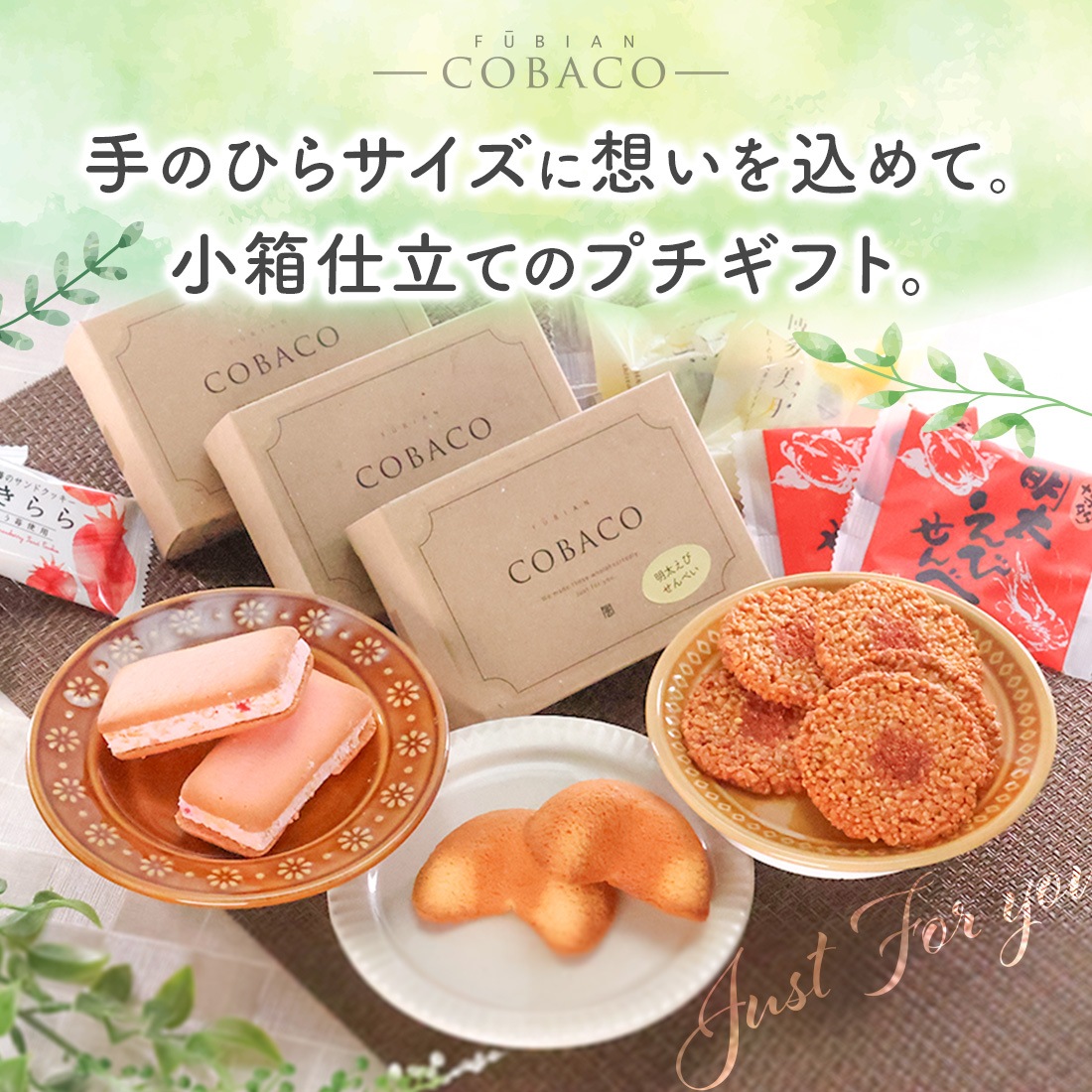 COBACO ��¿����ʤ��äȤ�ߥ륯��2�� �� ¨��ȯ�� �ץ����եȡ������ȯ���� Pgift