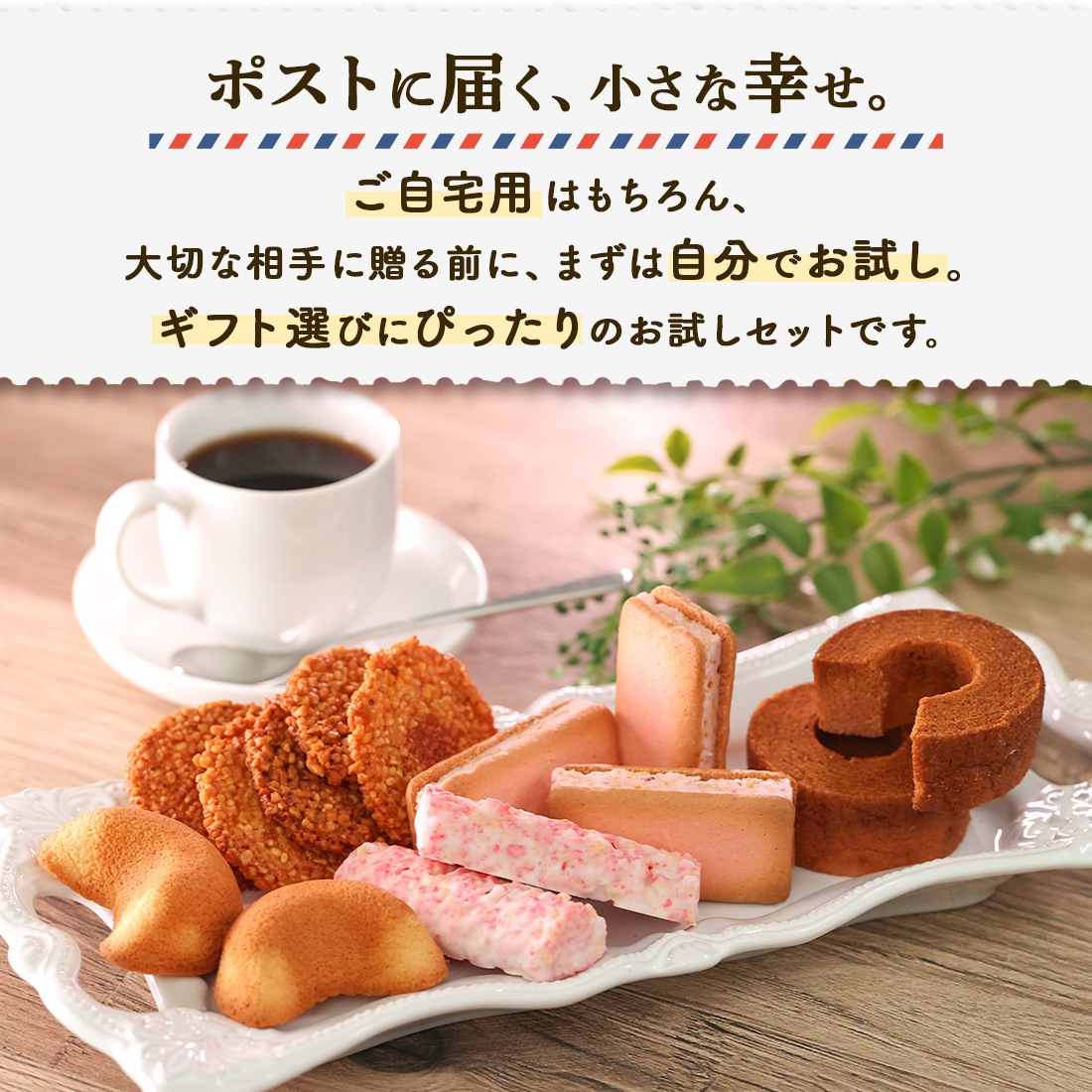 ��2026 02 �С������� �����ä�����å� �᡼����ȯ��  mailbin