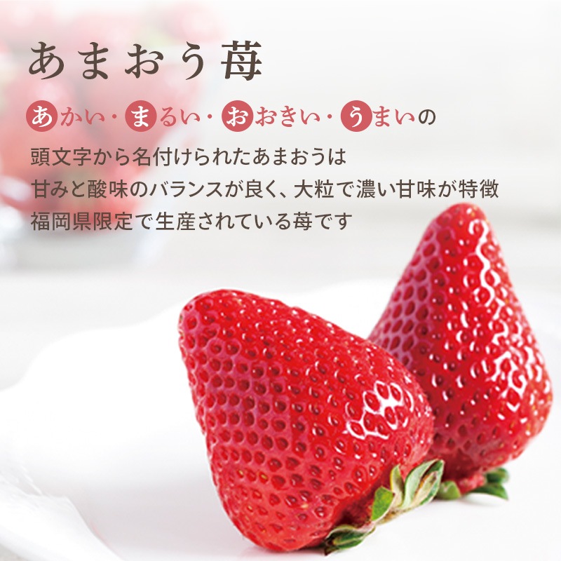 ڡѡХåפե  ɥåå  祳饵ɥå ޤ ץե ¿ ȯ Pgift