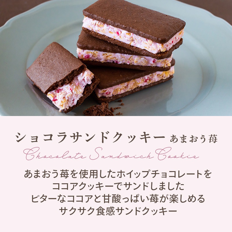 ڡѡХåפե  ɥåå  祳饵ɥå ޤ ץե ¿ ȯ Pgift