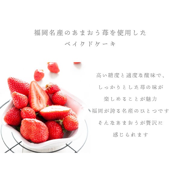 f-confectionary ޤ 1 | ץե   ࿦ ư ž  ´ ۤ ȯ Pgift