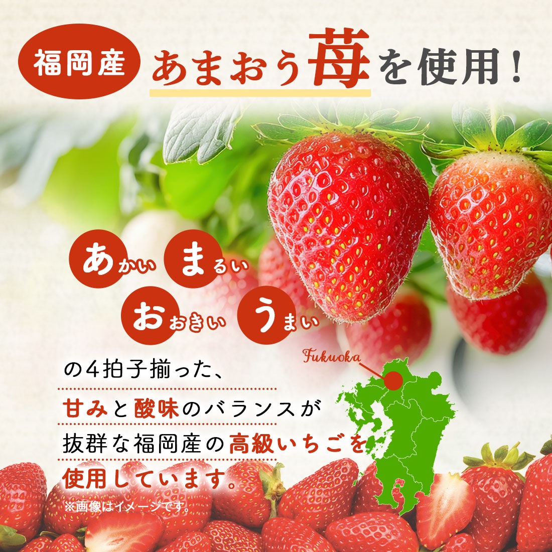 ������ɾ�ˤĤ���˥塼����� �ۥ磻�ȥǡ� ���ե� ���������ĥ��եȥ��å�M������ | ��� ����� ���ե� �Ƥ��ۻ� ¨��ȯ���б� ����̵�� �����ȯ�� Agift