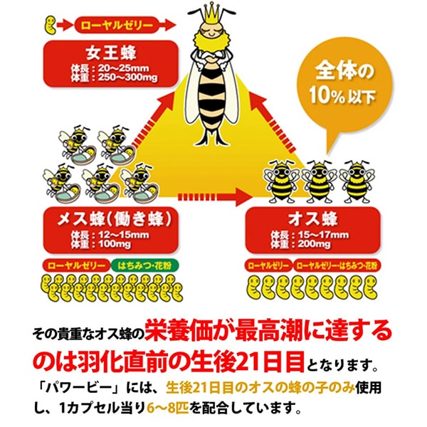 パワービー (Power Bee Plus) 1箱(120カプセル） サプリ 健康食品 栄養