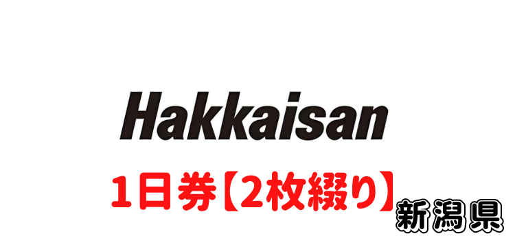 321 六日町八海山スキー場 1日券【2枚綴り】
