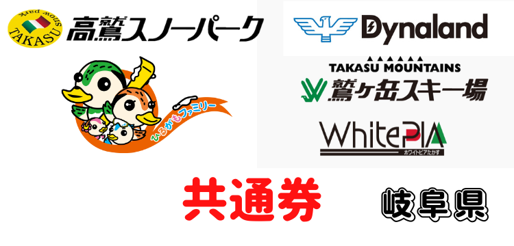 高鷲スノーパーク＆ダイナランド共通1日券 Dynaland 高鷲スノーパーク 共通利用券 ダイナランド・高鷲スノー