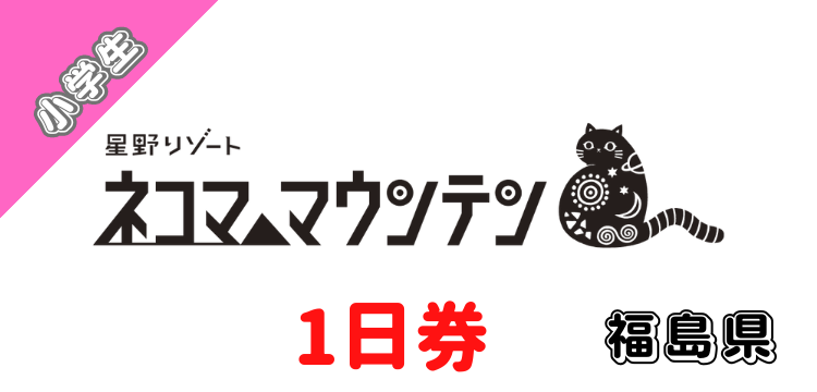 ネコママウンテン 大人 1日 リフト券 2枚 ネコマ マウンテン1日リフト券 2