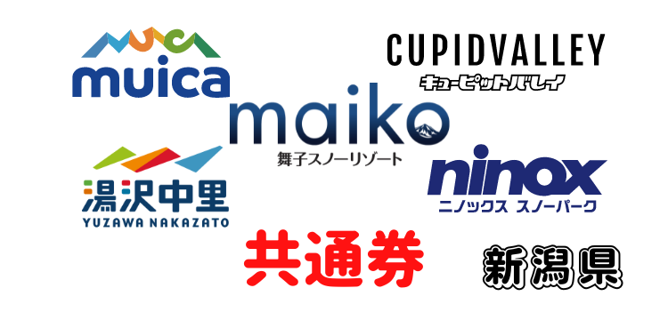 176 スマイルリゾート5スキー場 共通1日券