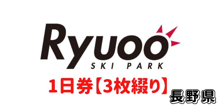 339 竜王スキーパーク 1日券【3枚綴り】