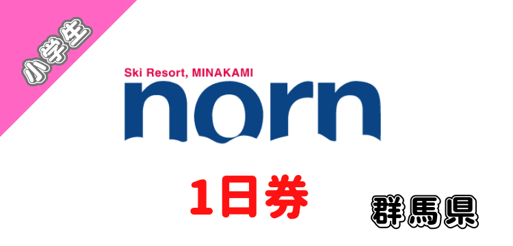 114 ノルンみなかみスキー場 1日券【小学生】