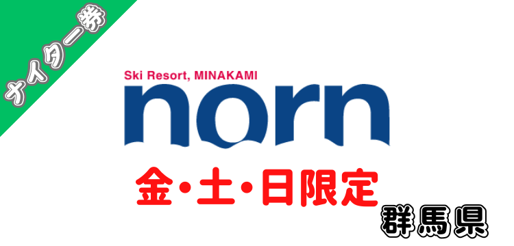 116 ノルンみなかみスキー場 ナイター券
