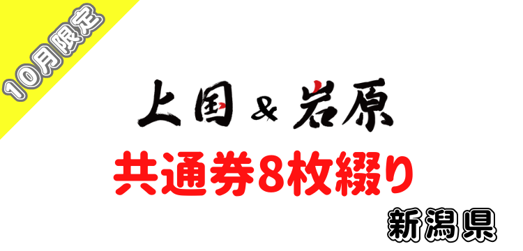 115 上国&岩原1日入場券＋【共通】【8枚セット】【10月限定】