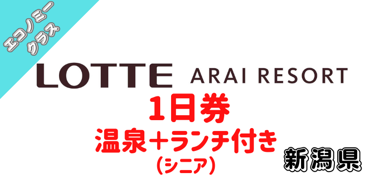 アライリゾート エコノミークラス リフト1日券x2 星空温泉入浴券x2