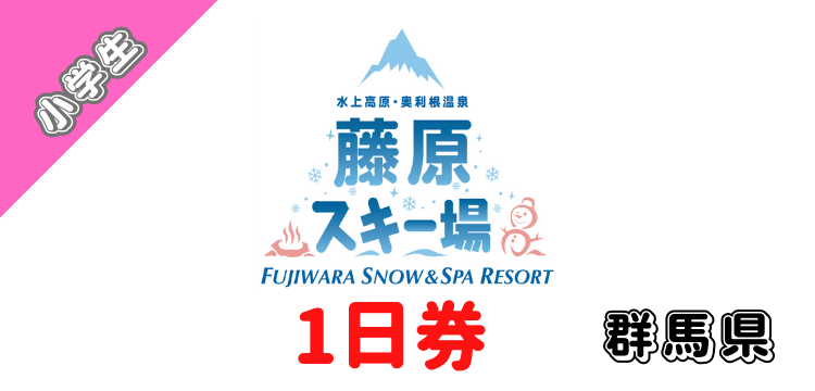 315 水上高原奥利根温泉 藤原スキー場 1日券 【小学生】