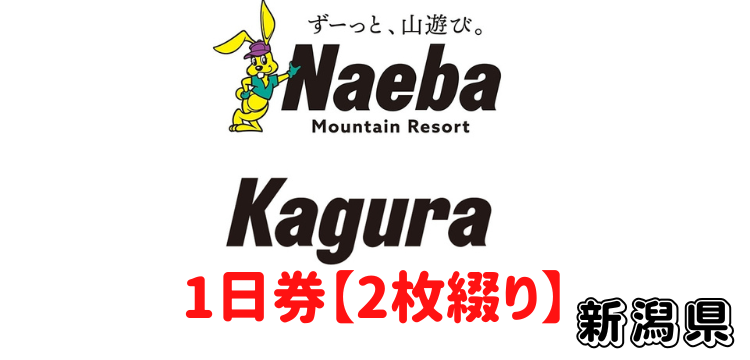319 苗場スキー場ORかぐらスキー場 1日券【2枚綴】 | Mt.Naeba