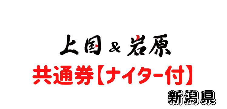 101 上国&岩原1日入場券＋【共通】
