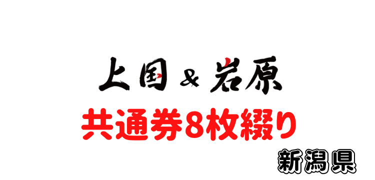 105 上国&岩原1日入場券+【共通】【8枚セット】